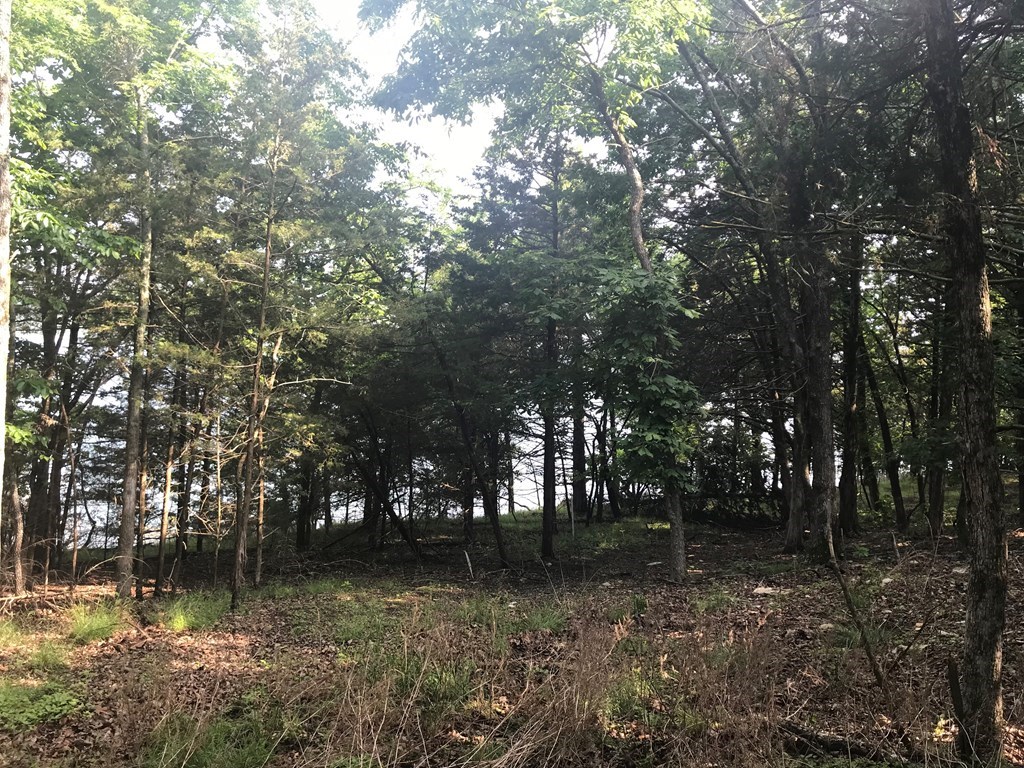 Point Mirage - Land