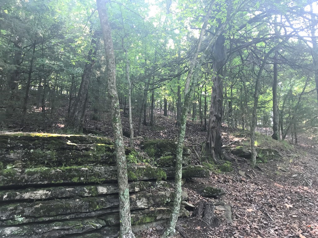 Point Mirage - Land