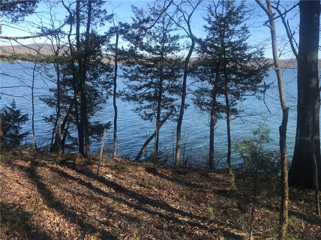 This stunning lakefront property offers extensive frontage and low Corp line. Situated on the Point Mirage peninsula, with big water views and beautiful building site surrounded by trees and bluffs. Property has been perked for septic system and is ready to build! Boat slips are available at Starkey's Marina just a short drive away