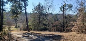 22 acres of pasture and wood mix. 3 bedroom 1 bath home with some of the house offering real hardwood floors. Home in need of repairs. Fix it or build a new home in the back with privacy. Great hunting here with signs of deer all over. Only a few minute drive to Nebo!