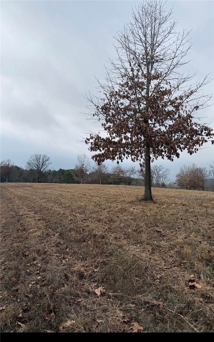 DEER RUN - Land