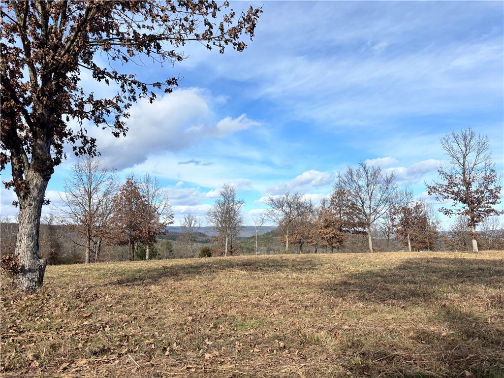 DEER RUN - Land