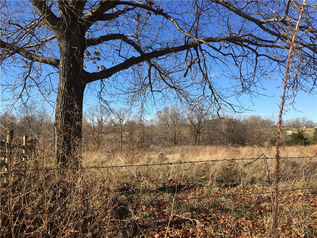 02-17-20 - Land