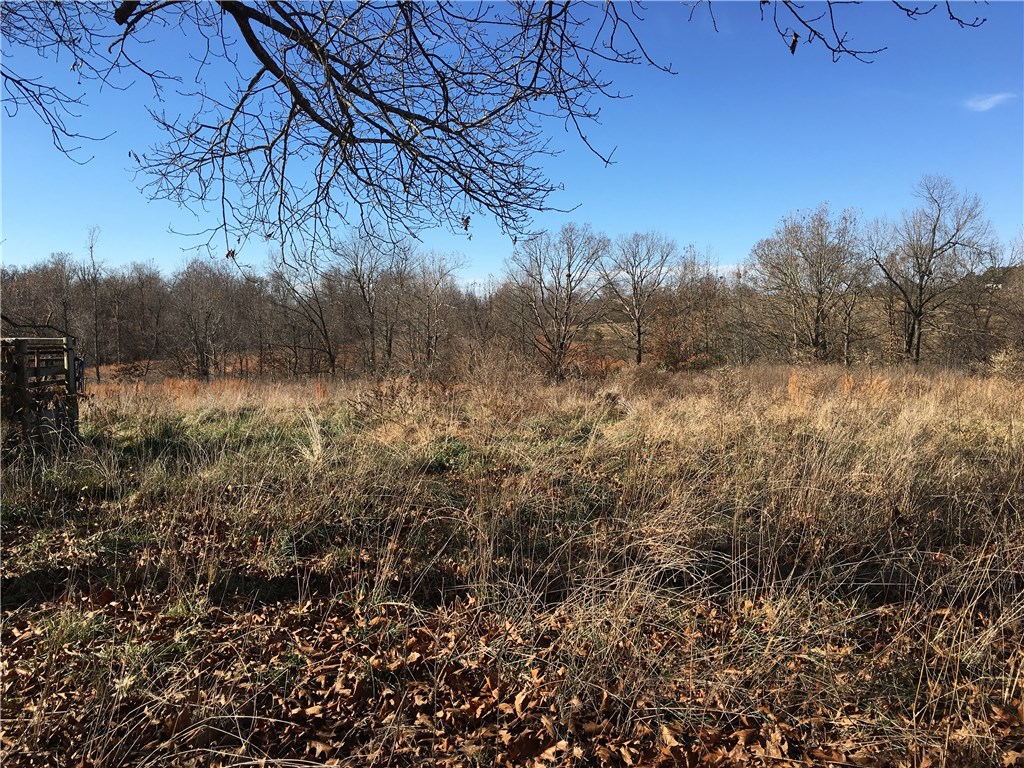 02-17-20 - Land