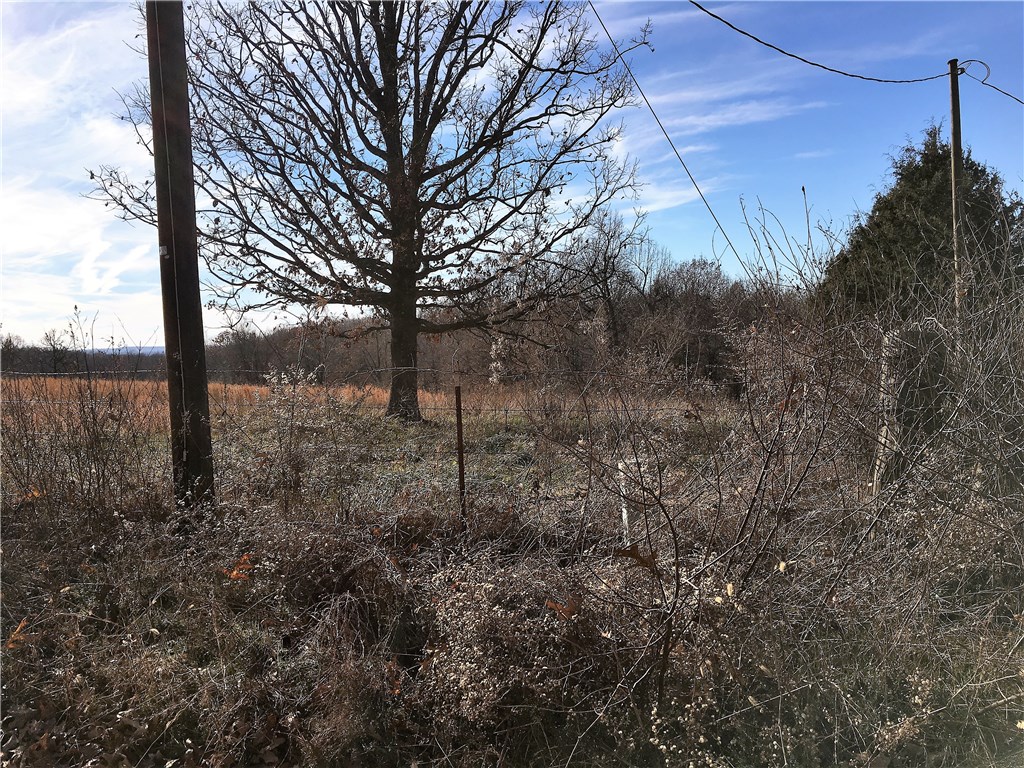 02-17-20 - Land