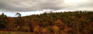 Mill Hollow Estates - Land
