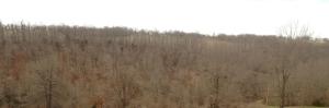 Mill Hollow Estates - Land