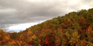 Mill Hollow Estates - Land