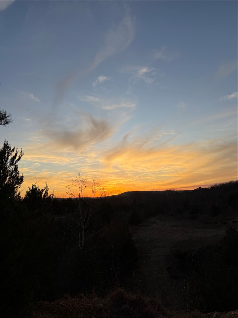 Never offered Before.  52 Acres more or less in the heart of Morrilton Arkansas.  Tract stretches along the south ridge of town and looks back to the north into the town of Morrilton and looks back to the south toward all the Arkansas River Bottoms and Petit Jean Mountain.  Call today for your own private tour.