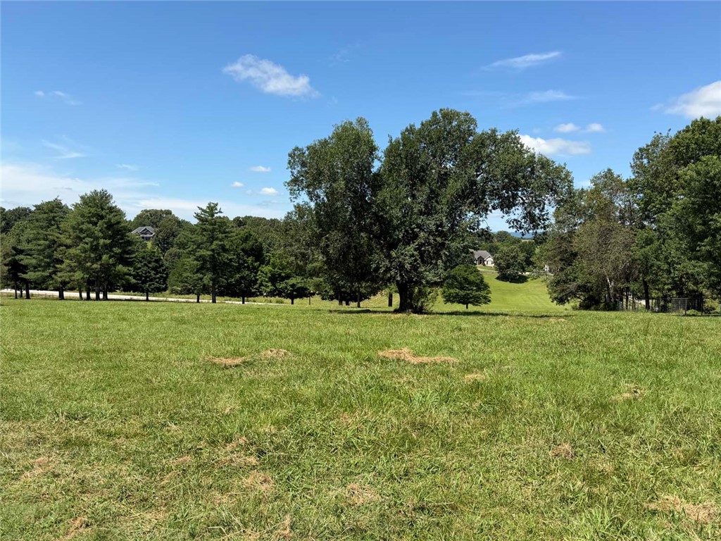 Bellefonte City Acreage - Residential