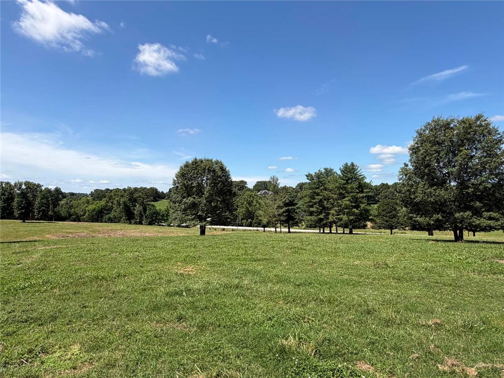 Bellefonte City Acreage - Residential