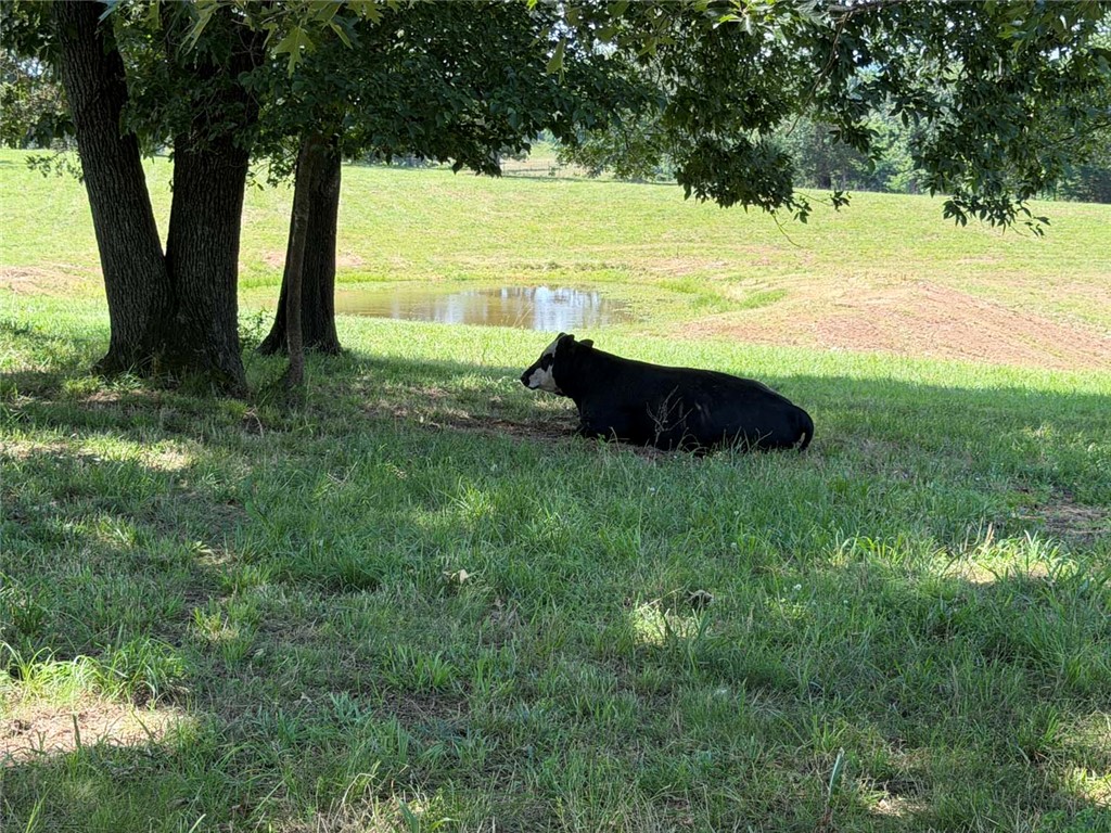 Bellefonte City Acreage - Residential