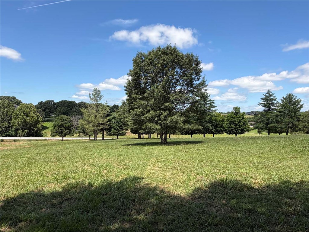 Bellefonte City Acreage - Residential