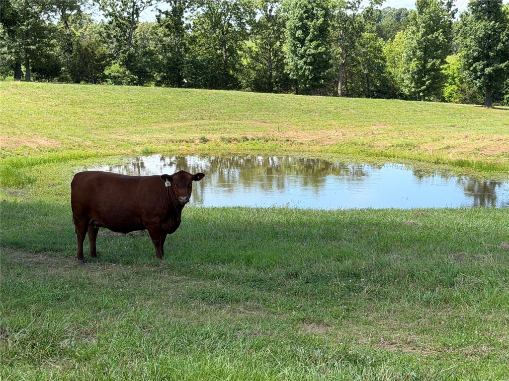 Bellefonte City Acreage - Residential