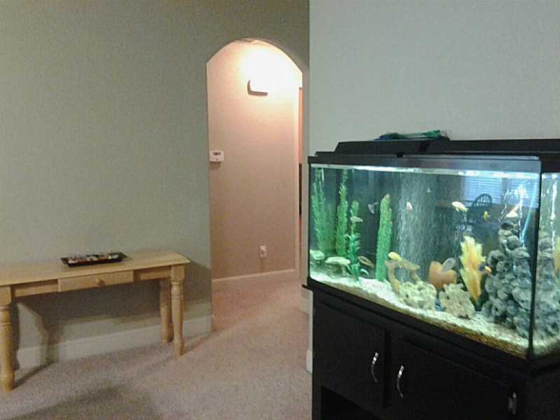 Dillow Sub Bvv - Residential
