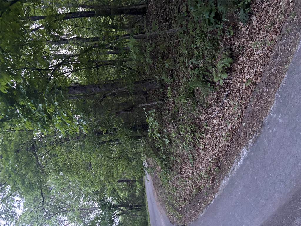 Beautiful wooded 0.46-acre property tucked into one of Bella Vista’s most recreation-rich areas, just minutes from Highlands and Scotsdale Golf Courses, Loch Lomond, Branchwood Recreation Center, the Little Sugar Trail System, and Tunnel Vision Trail. If you are looking for the perfect place to build your future home, a peaceful getaway, or an investment in a growing Northwest Arkansas community, this property offers the ideal blend of nature, privacy, and year-round outdoor adventure. Don't pass up the chance to check this one out!
