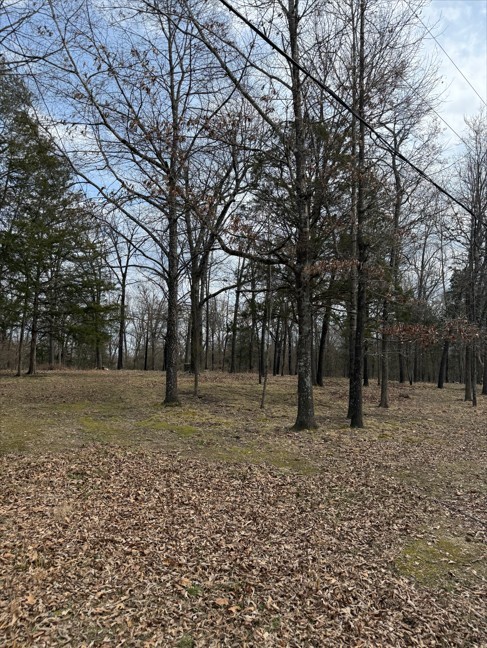 This 5.3 acre lot is perfectly set near the lake and backs up to a couple hundred acres of Corps Land. The property features an existing well, electric already on property, and a trail that leads you right to Bull Shoals lake water's edge. This is the perfect spot to build an AirBnB, or even your own getaway that is perfectly secluded at the end of road. The property and the Corps Land also have a ton of recreational animal sign, plenty of thicket, as well as hardwood on the public land that the property is surrounded by.