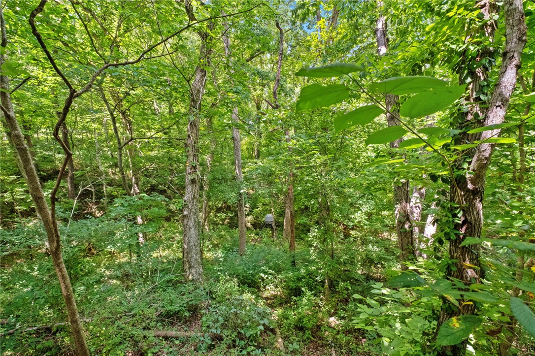 24-20-33 Rural - Residential