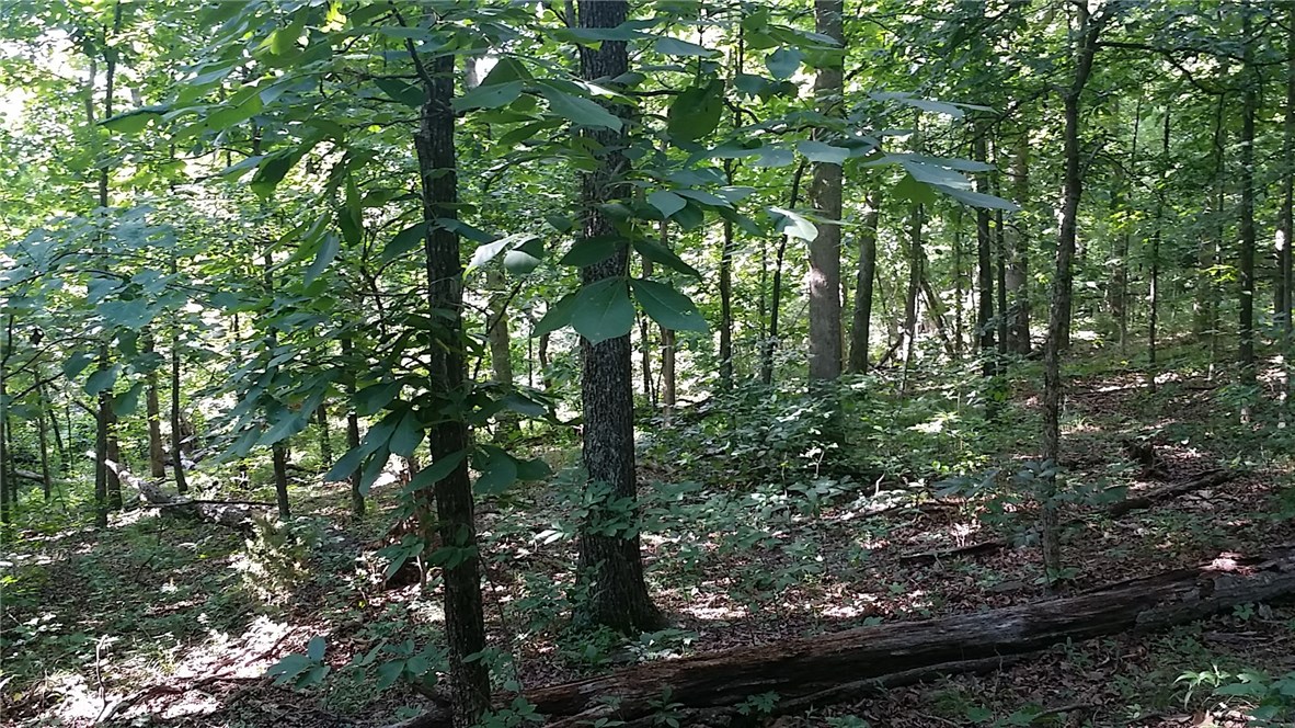 Tony Mountain Sub - Land