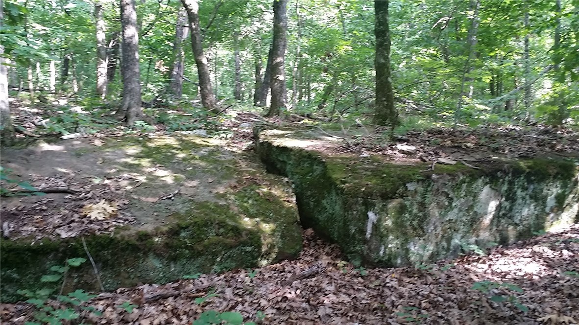 Tony Mountain Sub - Land