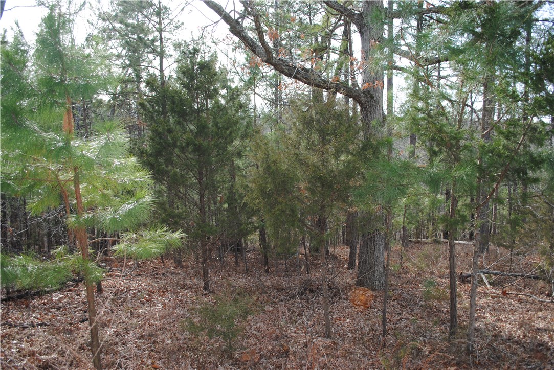 Timberlake Estates-Rurban - Land