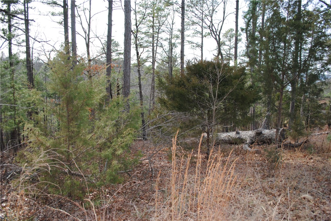 Timberlake Estates-Rurban - Land