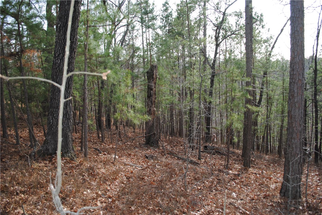 Timberlake Estates-Rurban - Land
