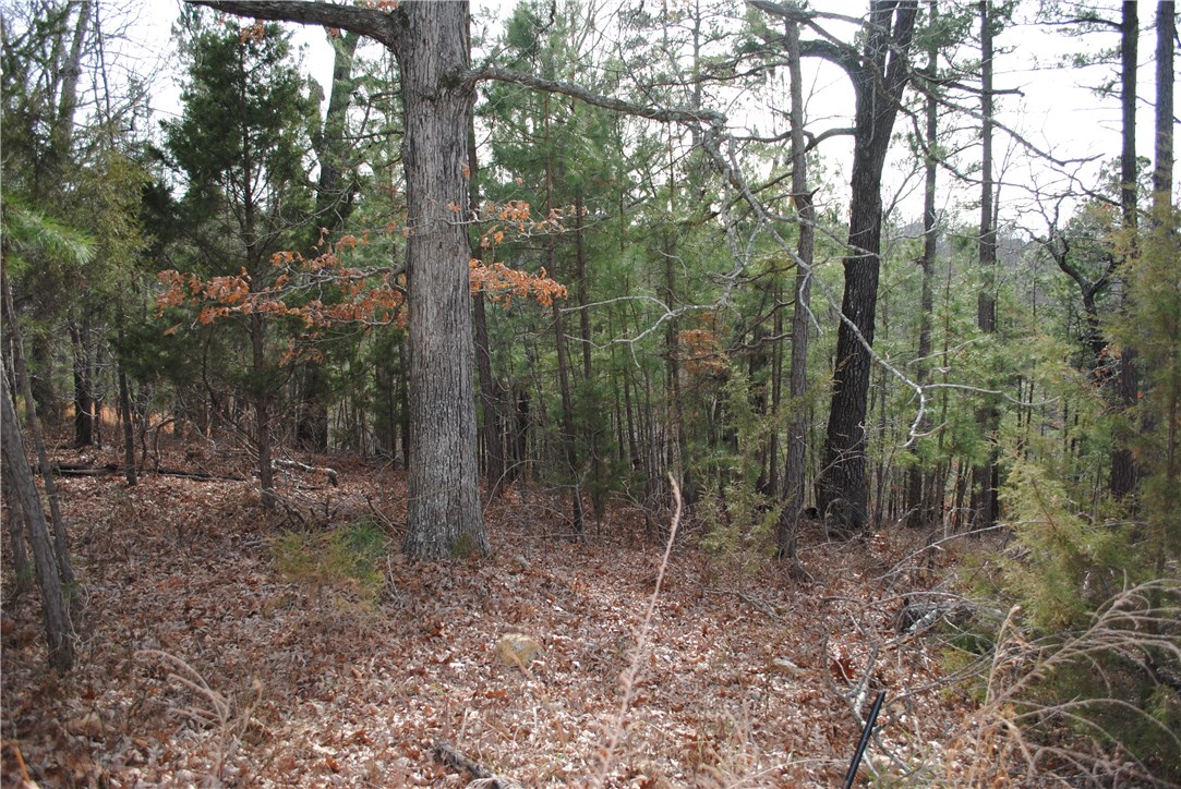 Timberlake Estates-Rurban - Land