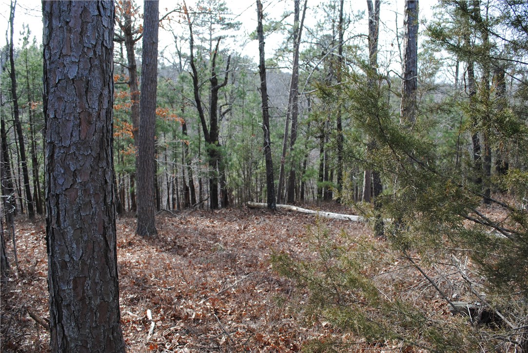 Timberlake Estates-Rurban - Land