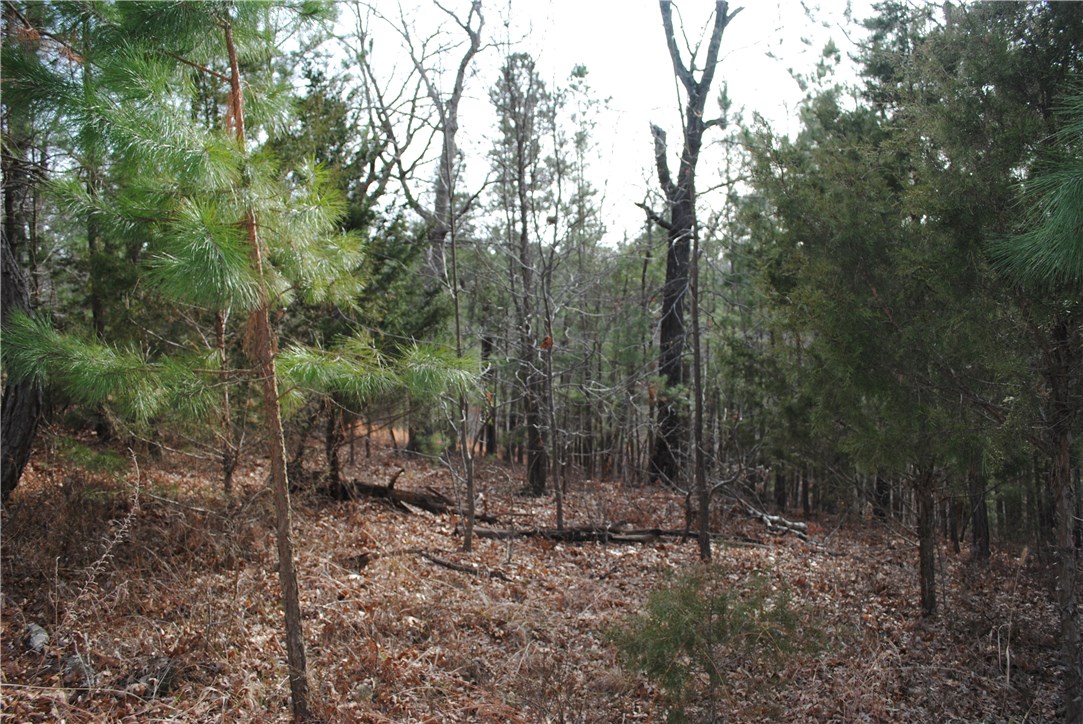 Timberlake Estates-Rurban - Land