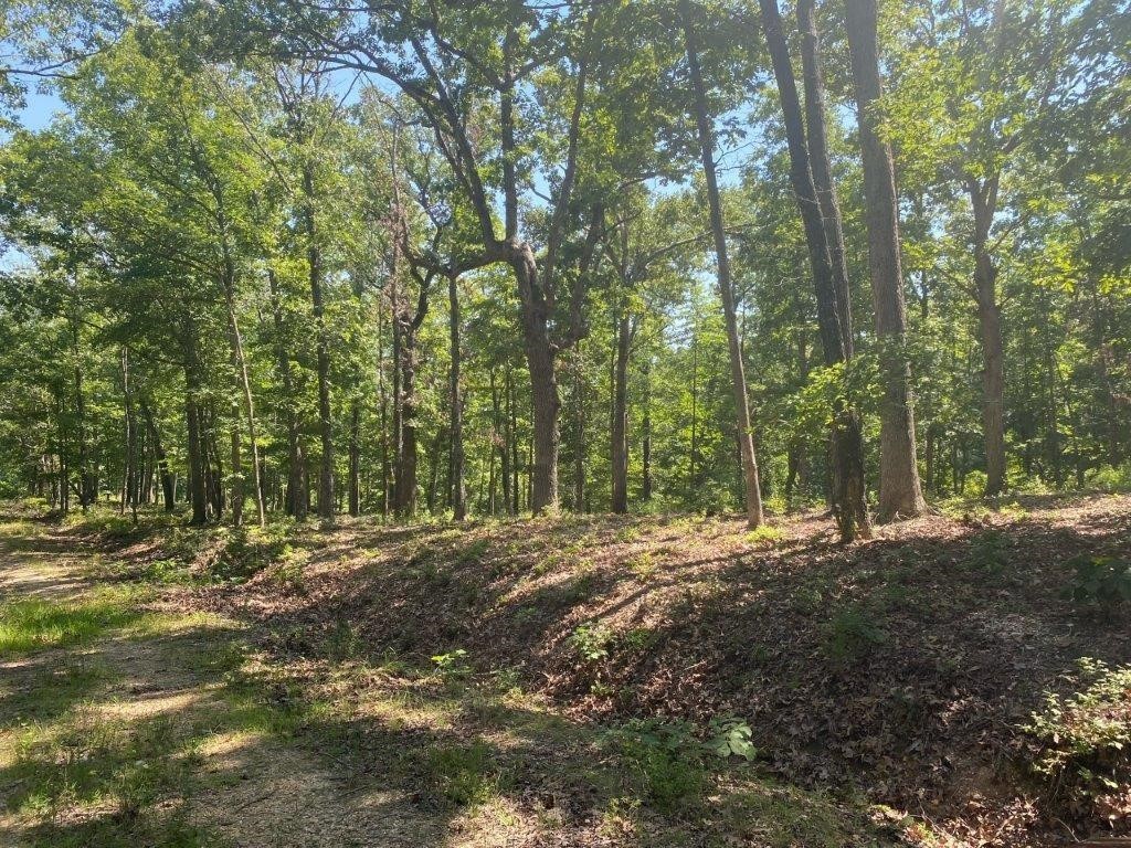 Posy Mountain Ranch Unit 11 Rurban - Land