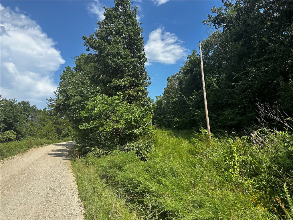 This little piece of land is 2.5 to 3 acres- will be determined by a survey. It has a water meter on site and electric! It is partially wooded, and level and near the Kings Branch creek. If you are looking for a good spot to put a smaller cabin in the country this property is it! It is only a minute from paved road, but on this dirt road your drive would have pretty views of rolling hills, hay being baled, cattle in the fields, deer crossing the road, truly peaceful country living