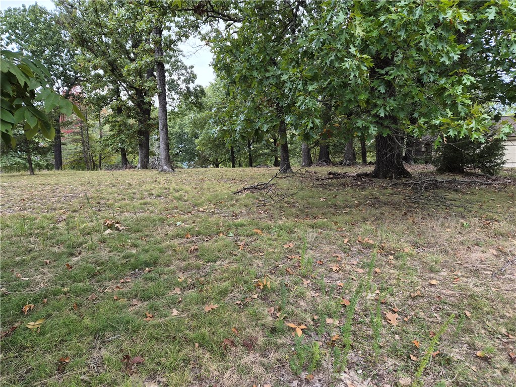 Don't miss out on your chance to own a rare, flat 1 acre lot PLUS a boat slip at the community dock just a short drive away! This 1 acre is a blank slate waiting for your dream home! Perc test already completed, water, electric and gas at the street. Let's not forget about the coveted boat slip on dock #2 slip 15, which is at the end of the dock so you can relax on your boat while the kids swim and fish from the dock platform. Community docks are accessible off Vail Dr, dock fees $600 annually.
