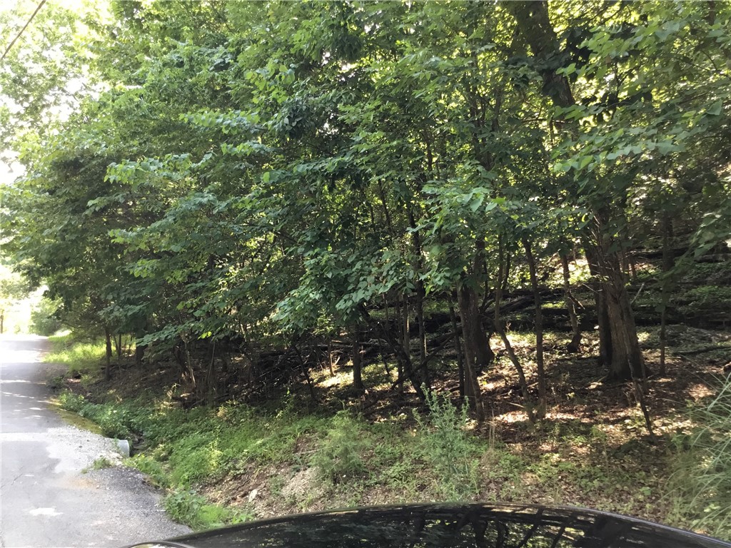 ForestHillssubLBV-Rurban - Land