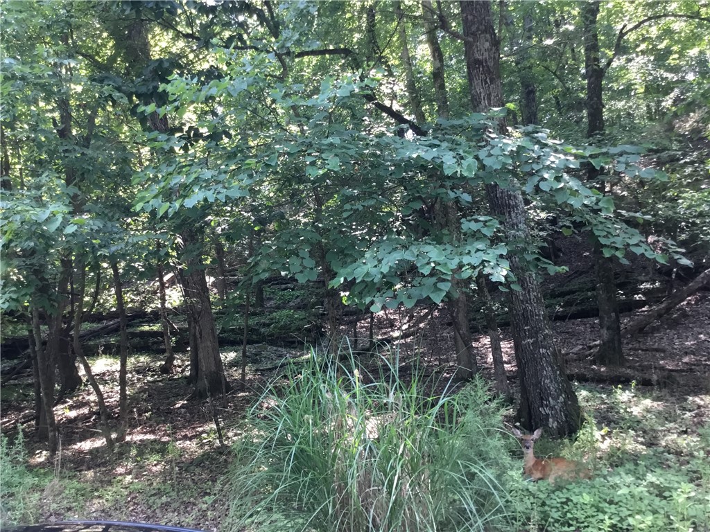 ForestHillssubLBV-Rurban - Land