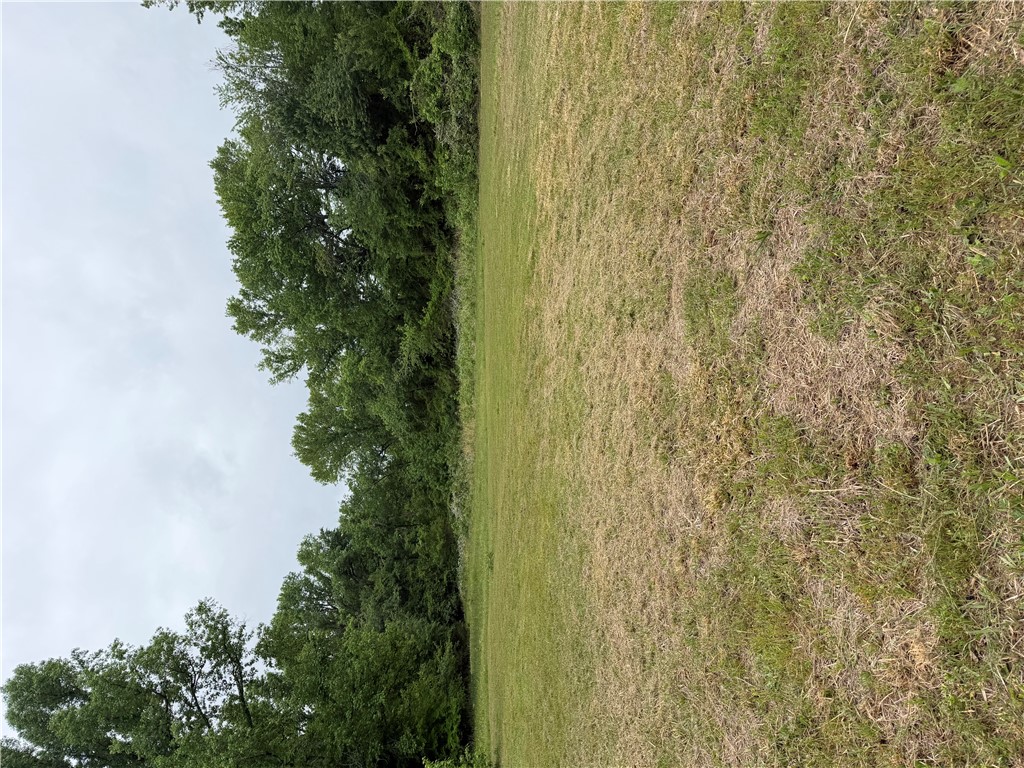 BEAUTIFUL BUILDING TRACT. We have found a very well desired building lot on Crow Mountain in the Pottsville School District.  The tract is already cleared and mowed with a lawn mower.  All utilities on the street and fronts Crow Mtn Road.  Come take a look before its gone.  Some Building Restrictions will Apply.