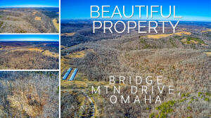 Great property! Great location! Great price! Located just south of the Missouri/Arkansas line and a short distance off Hwy 65 is this rare find of 209 acres. The property has good all-weather roads and is situated off Bridge Mountain Rd near the Hwy 65 twin bridges. Property also fronts on Old Cricket Rd, providing an alternate entrance. There is something for everyone. If you are a history buff, you might enjoy researching and reminiscing about the old schoolhouse on the property. There is a cave plus a rock overhang where various flint pieces and arrowheads have been found. Deer and other game are plentiful and like to browse around the numerous springs and the seasonal creek that flows through the property.