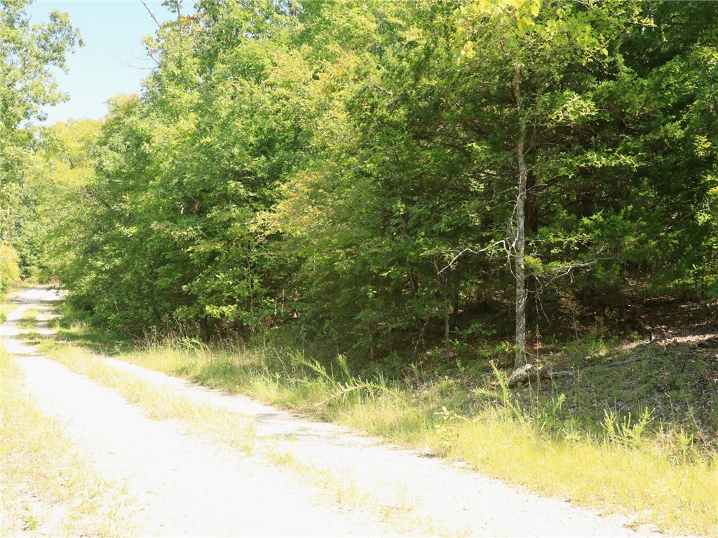 Pioneer Park - Land