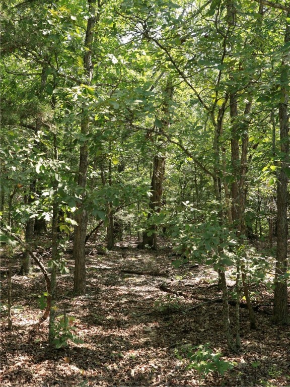 Pioneer Park - Land