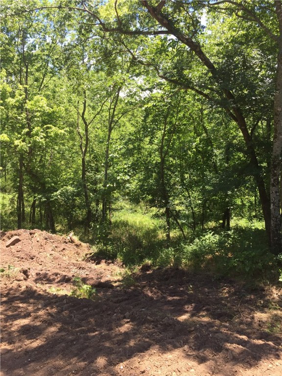 Great piece of hunting property on paved road. Beautiful views and rural water is close. Owner financing possible with adequate down. Agent owned