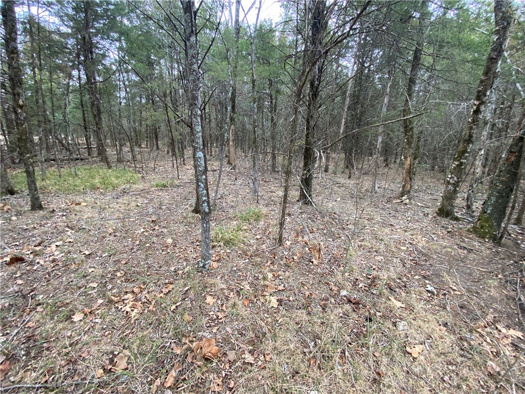 If you have been looking for a place to build that lake get away or home, don't let this one get away! Three level lots (0,67 acres) just minutes from Diamond Hills Country Club and Bull Shoals Lake. Enjoy the peace and quiet of the Ozarks with easy access to boating, fishing, and outdoor recreation. Perfect spot to build your home, weekend getaway or retreat in lakeside community. Only 5 minute drive to Sugarloaf Harbor marina and 3 minutes to an 18 hole golf course. Minimum build restriction of 1000 sf. Buyer to verify water and sewer availability with city.