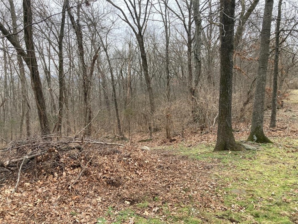 Here's your opportunity to own 9.37 +/- amazing acres perfectly positioned within Washington County Arkansas in Greenland. With Coveted easy access to Interstate 49 or hwy 71 will make short work of any commute in NW Arkansas, this remarkable property delivers a setting that feels worlds away while remaining just minutes from modern conveniences, including nearby Fayetteville Airport (small regional airport with private plane access). This land is ready to be developed and features a beautiful mix of hardwoods, situated high on one side of a bowl of large hills making up the area with potential for amazing views. The property is less than 10 minutes from Fayetteville and only a short highway or interstate commute to Bentonville or other any other NW Arkansas areas. Properties of this size, location and commute access are increasingly hard to find. If you've been searching for a one-of-a-kind property that combines convenience, natural beauty, abundant wildlife and scenic vistas, this is it. Come take a look today!