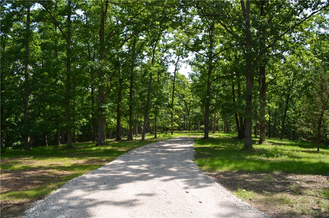 Canopy - Land