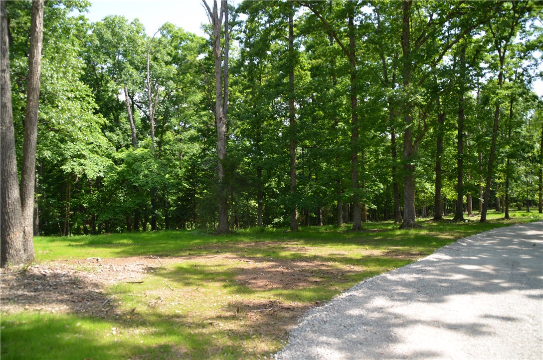 Canopy - Land