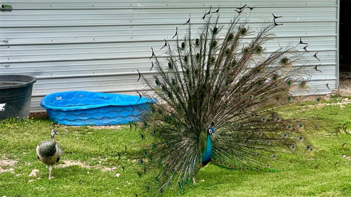 08-20-29-RURAL - Farm