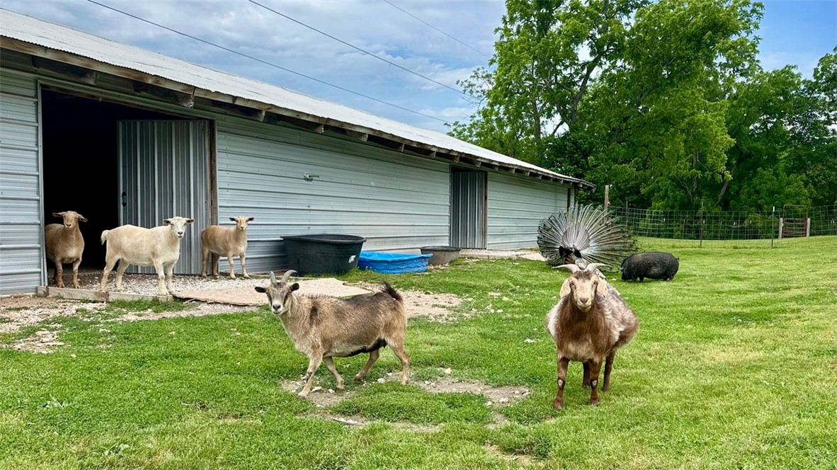 08-20-29-RURAL - Farm