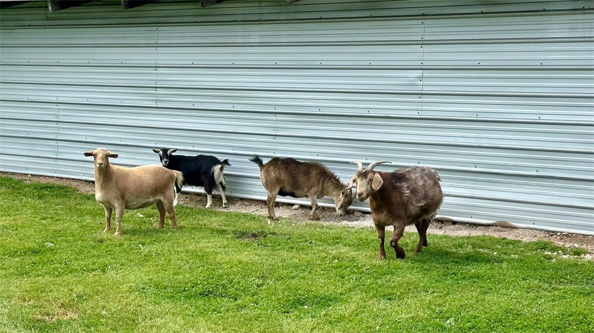 08-20-29-RURAL - Farm