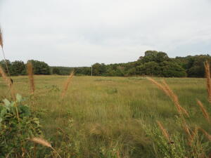 20 acres M/L all usable only 1/2 mile from the Ozark National Forest. Build your cabin, graze your horses and ride from home to thousands of acres of public land. Hwy frontage with rural water and electricity at the hwy. All perimeter fenced with a pond. Ready for horses or cattle & approx 12 acres already being used for hay fields which is almost completely level. Wildlife is abundant in this area and especially in the National Forest. 1 mile to the post office/country store w/gas & 45 miles to Russellville. Beautiful house available for sale only 1 mile away MLS #144214 or MLS # 21029314 owned by same Seller. The house is 1312 SQ FT 2 bed 1 bath with 24x48 shop/11.85 acres/view/pond/perimeter fenced/ rural water or well/metal roof/level yard/store post ofc next door/hwy frontage. Buy both.