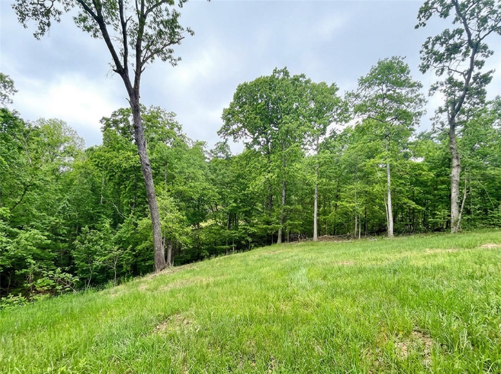 Coulter - Residential Lease