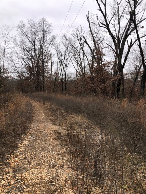 Buildable-sized lot in Bella Vista!! Some builders have already started developing this neighborhood. The wooded lot slopes to common property and is located on the west side of Bella Vista off Arthur Road. This seller has two additional properties available that are side by side - MLS# 1263407 & 1263410.